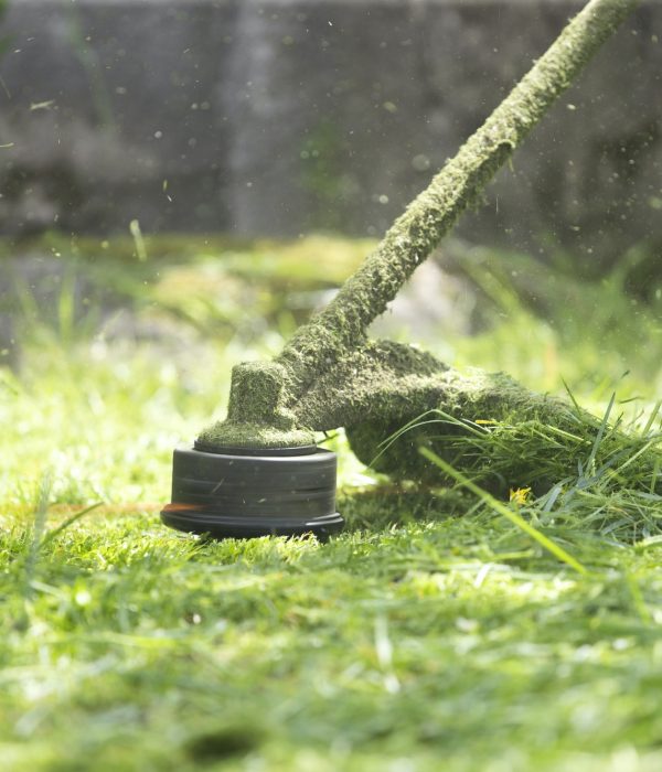 A lawn mower is cutting green grass