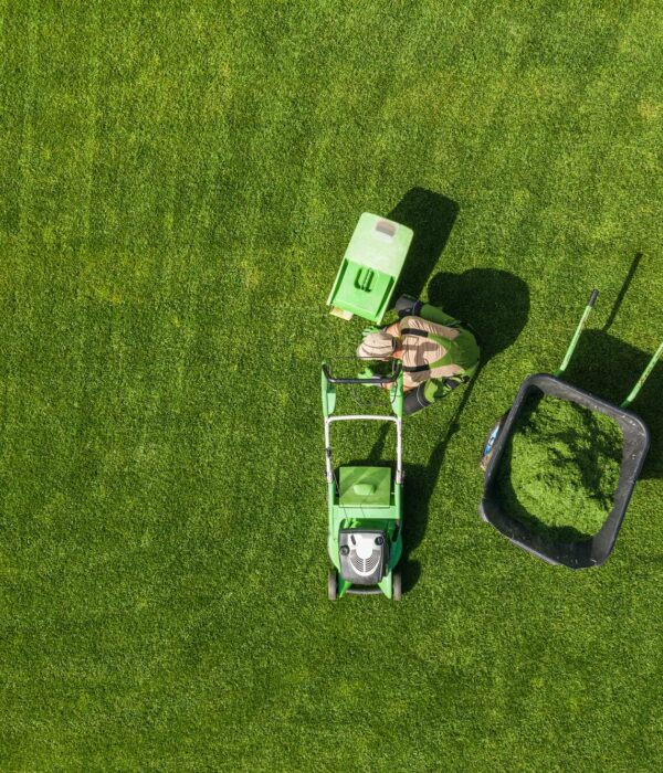 Backyard Garden Lawn Mowing and Maintenance Aerial View